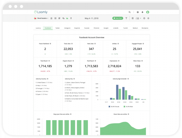 Loomly - advanced analytics